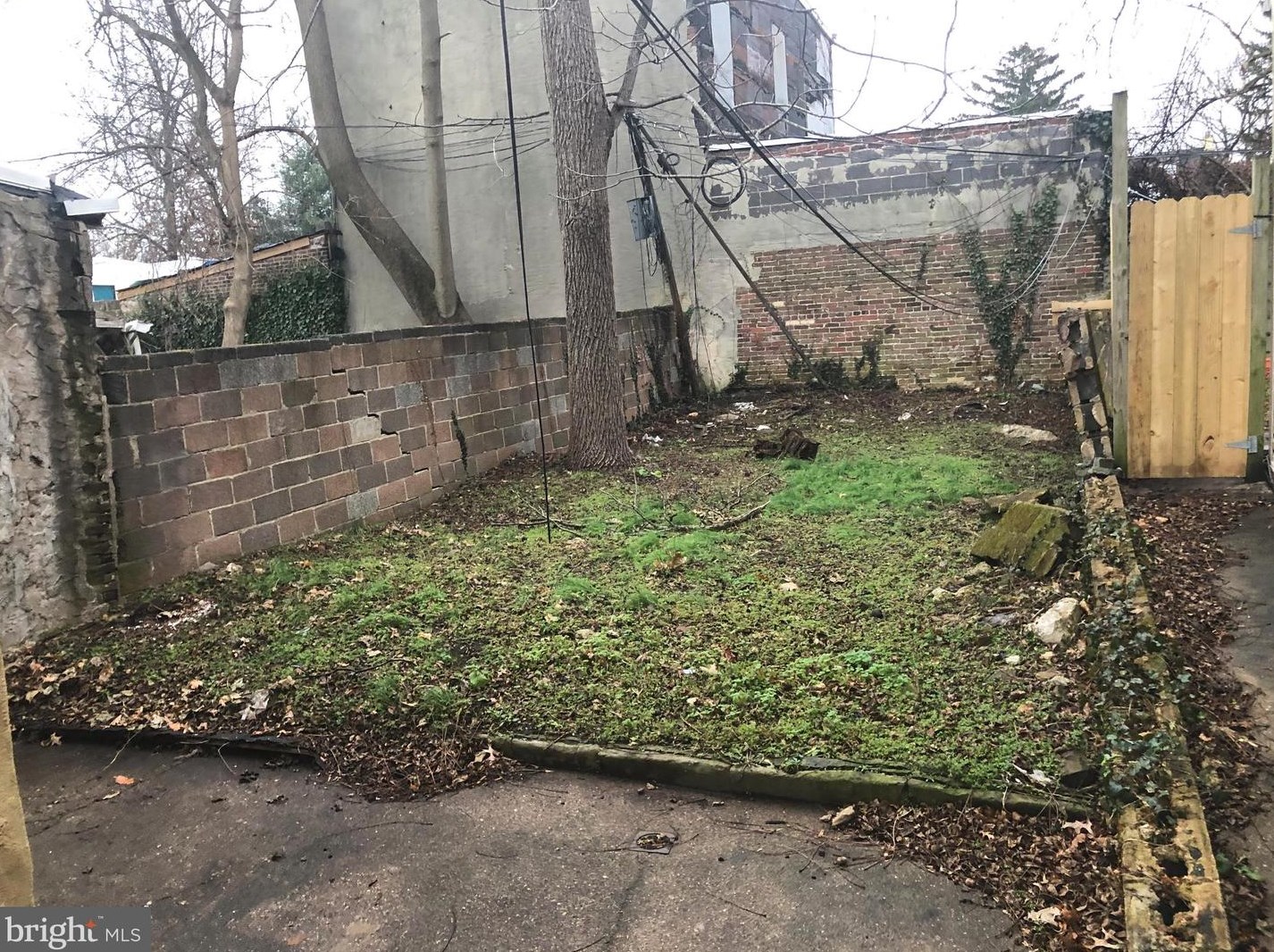 238 Collom St, Philadelphia PA 19144-2318 exterior