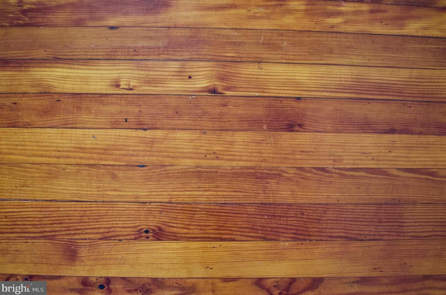 1854 Tulip St, Philadelphia PA  19125-2429 exterior