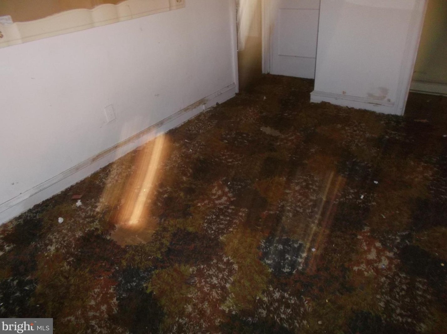 1501 Walnut Ln, Philadelphia PA 19144-3204 exterior