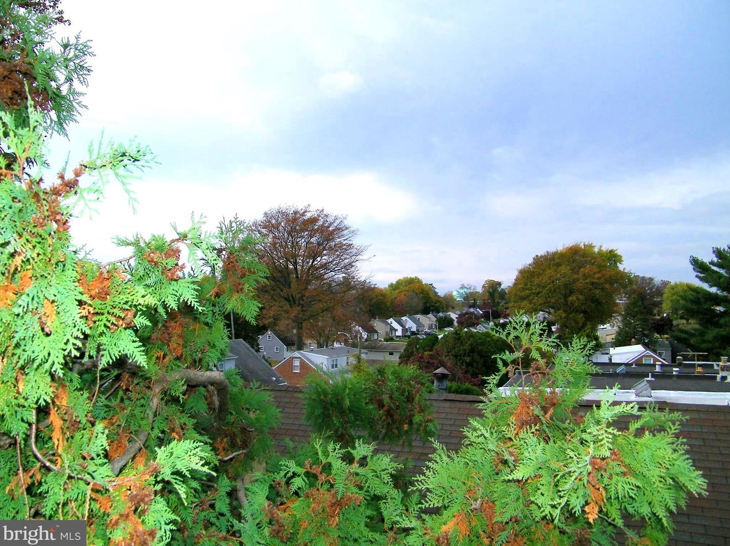 550 Selma St, Philadelphia PA  19116-2822 exterior