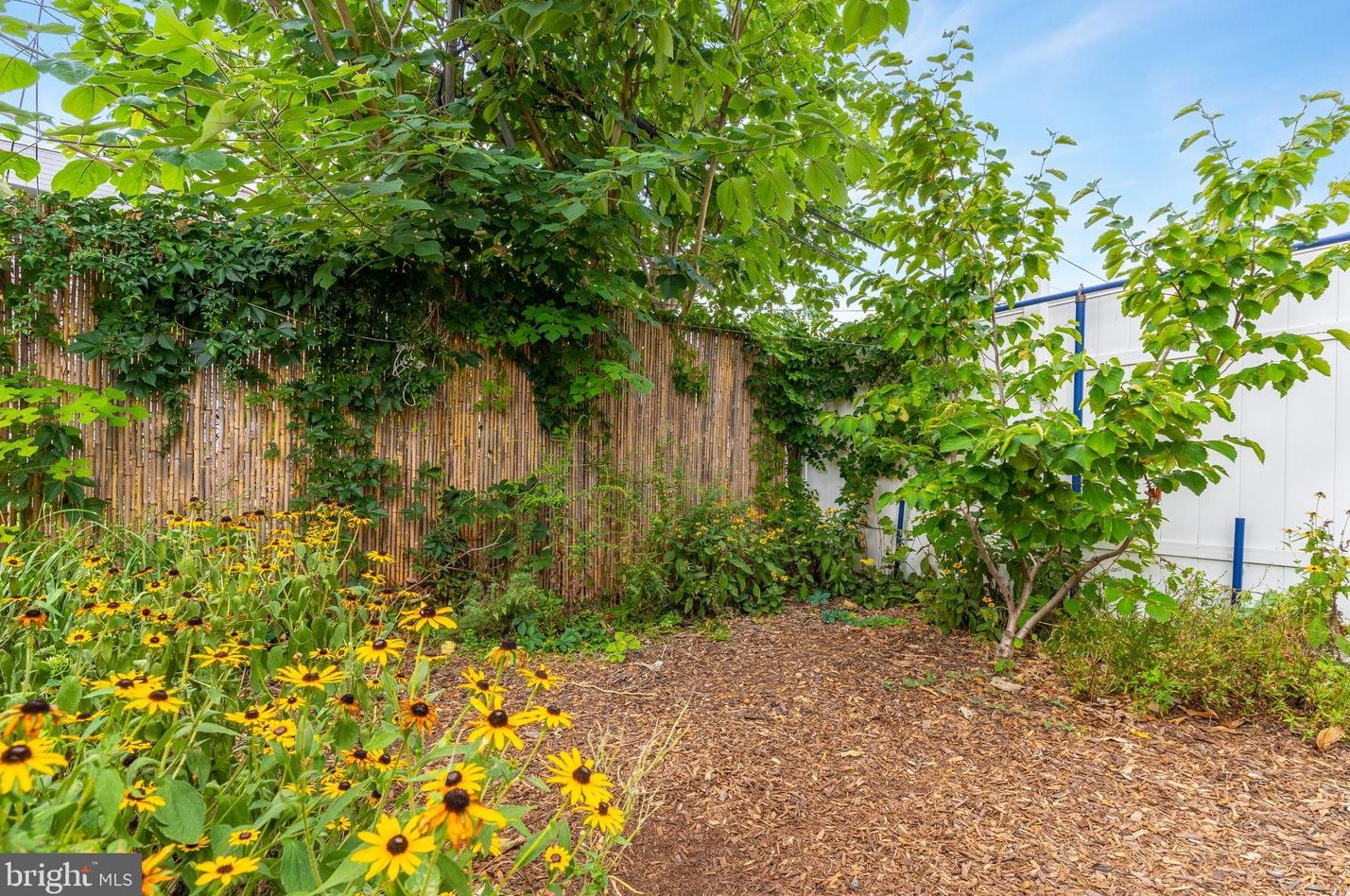 2604 Wharton St, Philadelphia PA  19146-3836 exterior