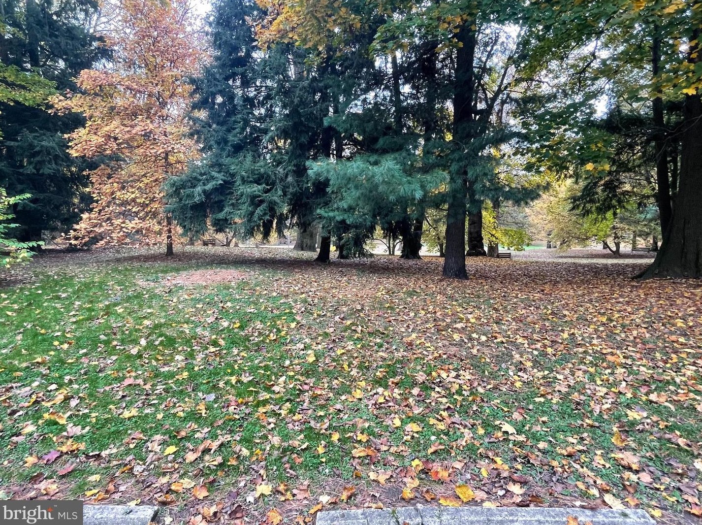 8125 Roanoke St, Philadelphia PA 19118-3949 exterior