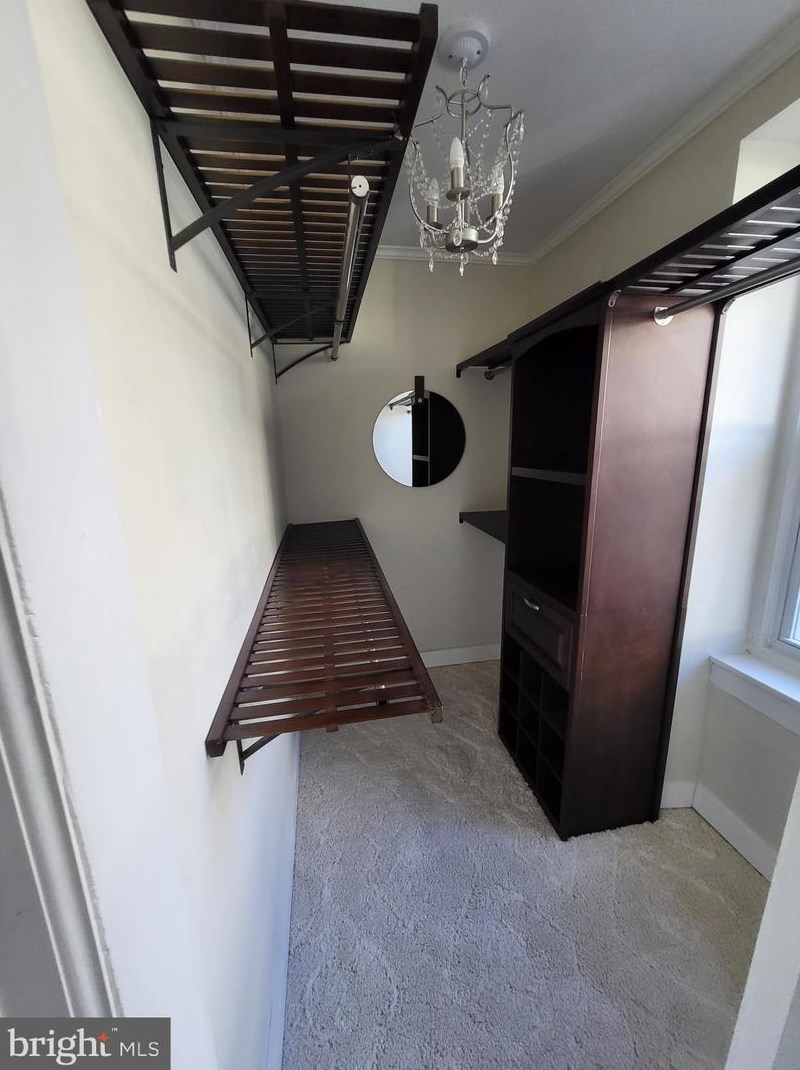 913 Wynnewood Rd, Philadelphia PA 19151-4502 exterior