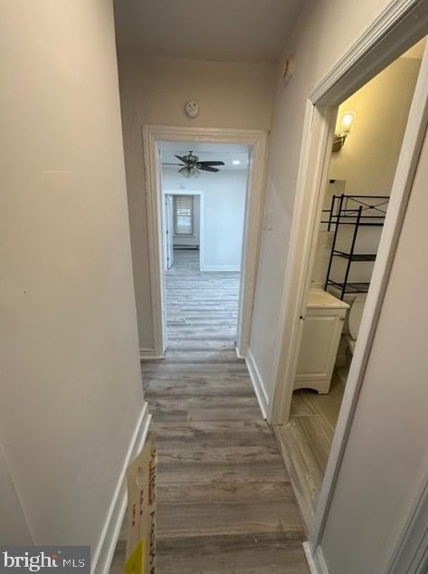 316 Coulter St, Philadelphia PA  19144-3945 exterior