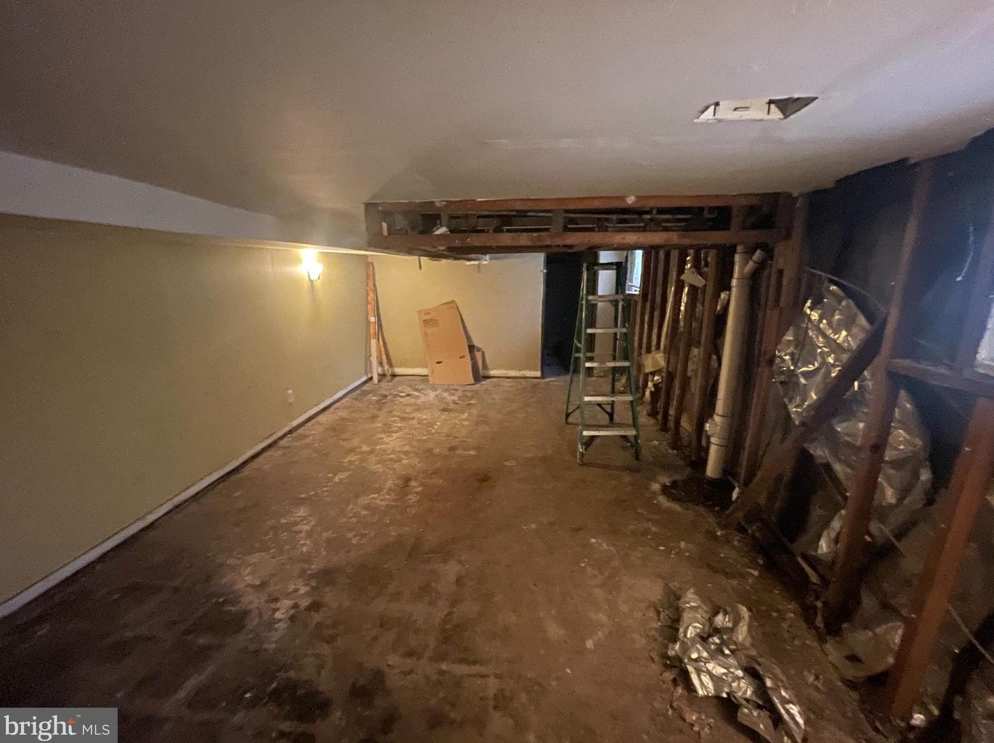 443 Walnut Ln, Philadelphia PA  19144-1054 exterior