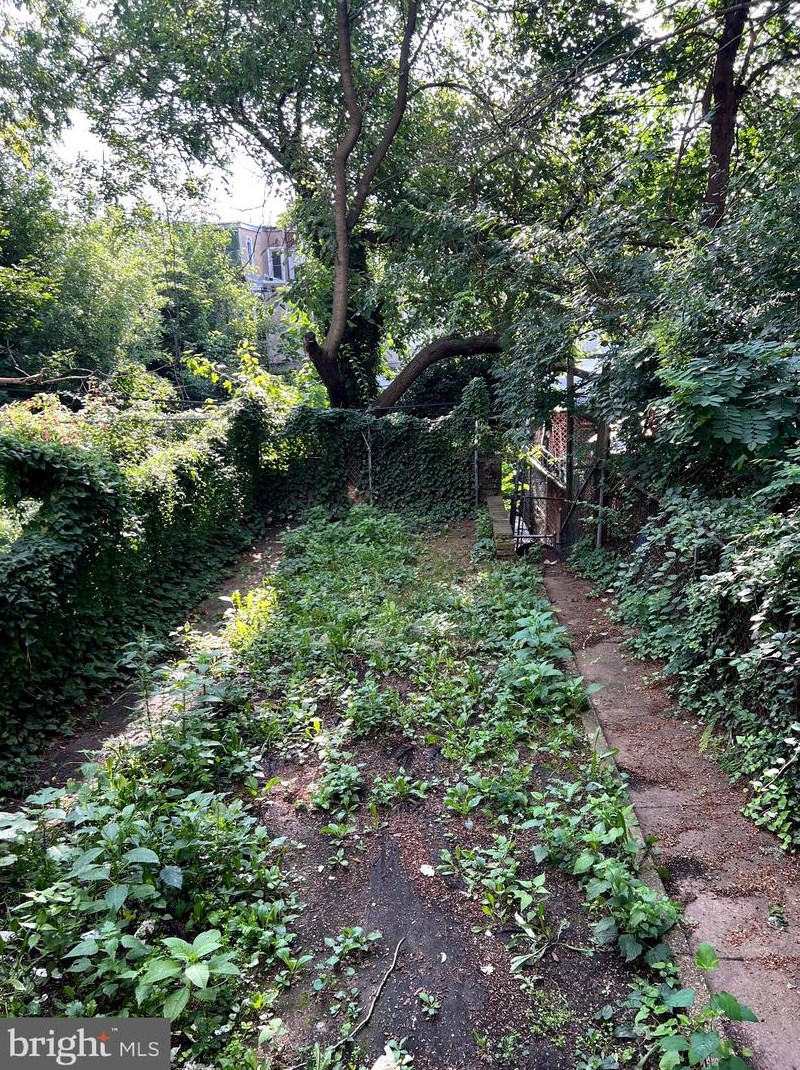 331 Felton St, Philadelphia PA 19151-3806 exterior