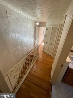 648 Sanger St, Philadelphia PA  19120-1721 exterior