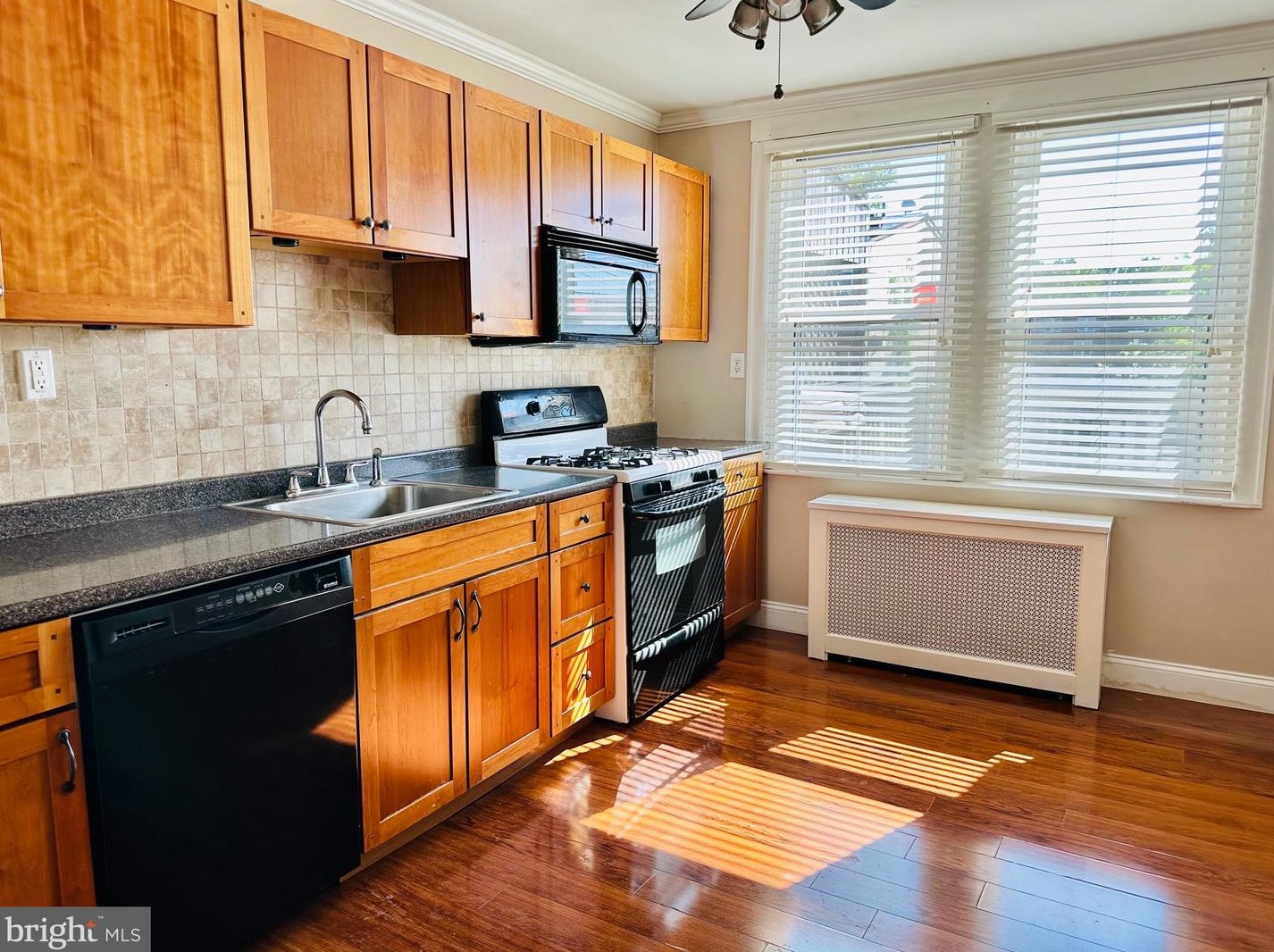 3320 Brighton St, Philadelphia PA  19149-2029 exterior