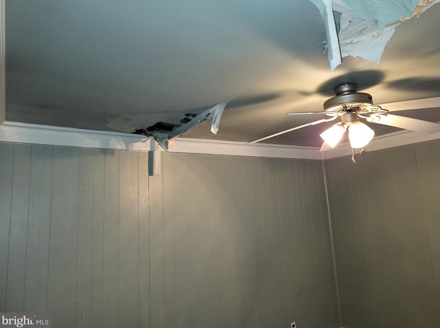 5121 Newhall St, Philadelphia PA 19144-4020 exterior