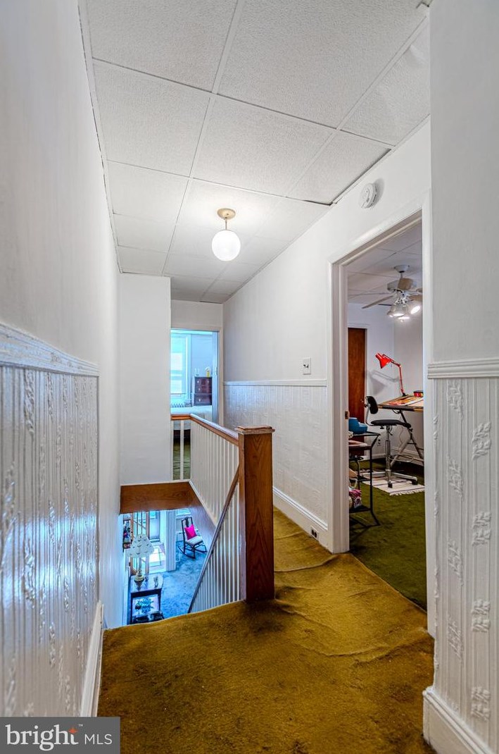 1117 Tree St, Philadelphia PA 19148-3020 exterior