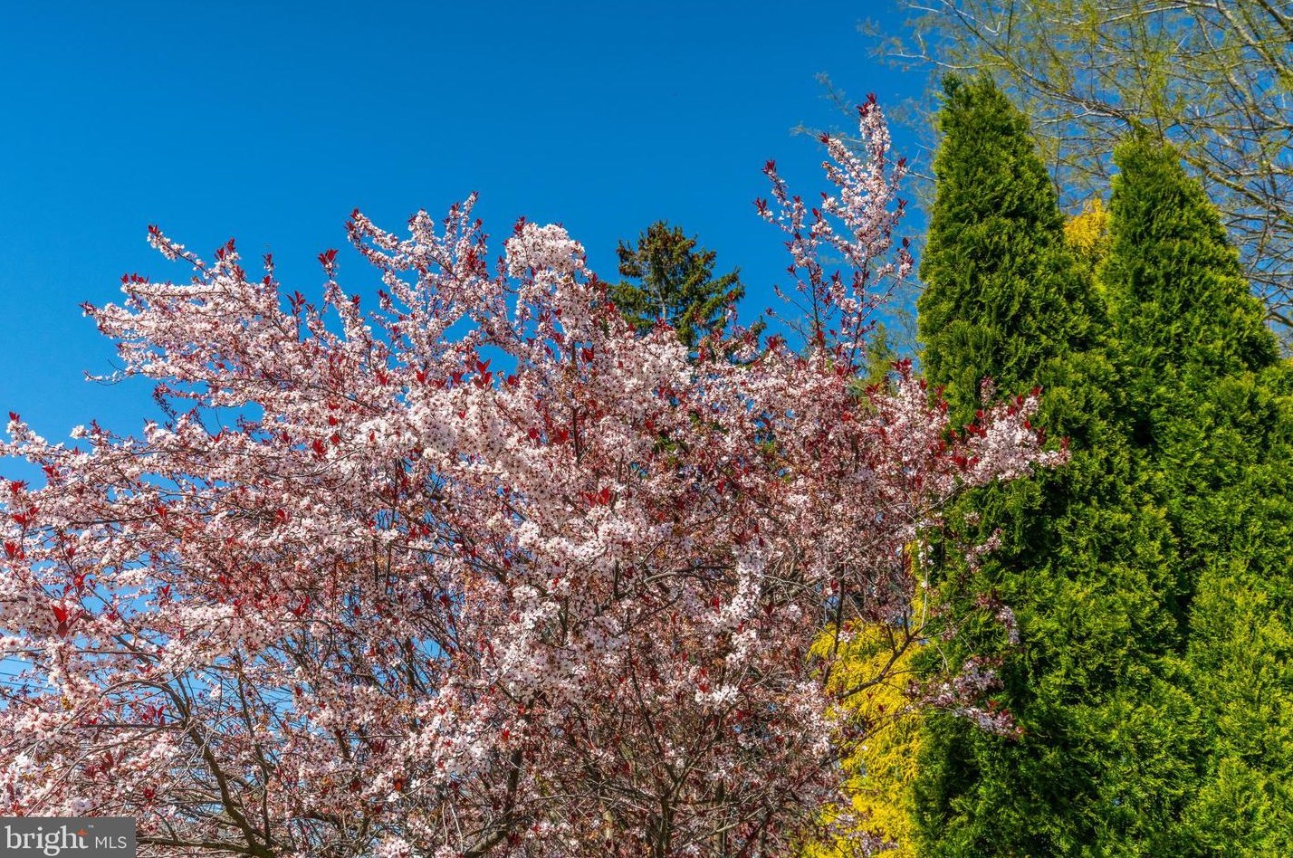 1112 Norwalk Rd, Philadelphia PA 19115-2512 exterior