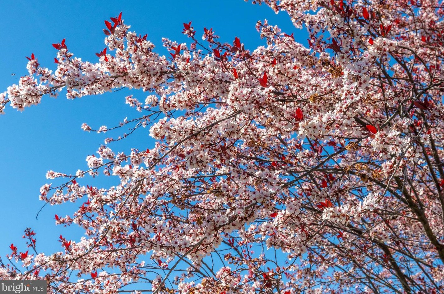 1112 Norwalk Rd, Philadelphia PA 19115-2512 exterior