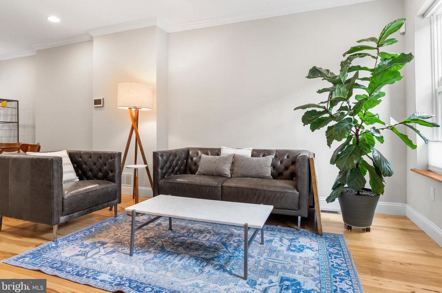 631 Bambrey St, Philadelphia PA 19130-1304 exterior