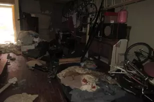 207 Watkins St, Philadelphia, PA 19148 - Photo 5