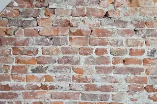 2321 Mountain St, Philadelphia, PA 19145 - Photo 9