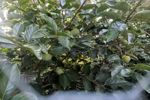 [Address not provided], Philadelphia, PA 19145 - Photo 7