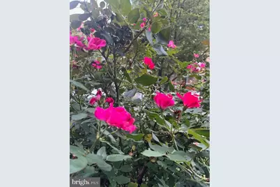 5011 Pentridge Street, Philadelphia, PA 19143 - Photo 37