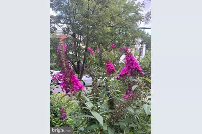 5011 Pentridge Street, Philadelphia, PA 19143 - Photo 35