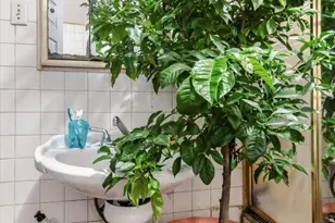 3540 N 5th St, Philadelphia, PA 19140 - Photo 9