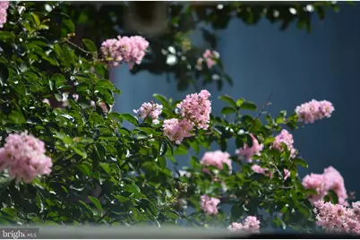 1847 E Harold Street #A, Philadelphia, PA 19125 - Photo 15