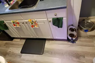 126 Rosemar St, Philadelphia, PA 19120 - Photo 5