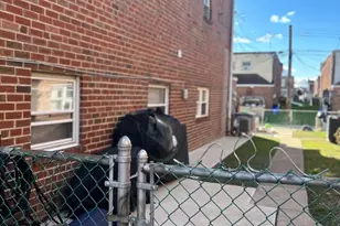 2218 Strahle St, Philadelphia, PA 19152 - Photo 29