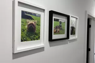 2694 Bridge St, Philadelphia, PA 19137 - Photo 21