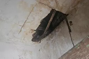 2819 W Somerset St, Philadelphia, PA 19132 - Photo 13