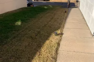 8806 Lister St, Philadelphia, PA 19152 - Photo 5