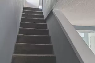 4517 Comly St, Philadelphia, PA 19135 - Photo 19