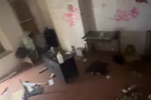 3109 Reach St, Philadelphia, PA 19134 - Photo 7