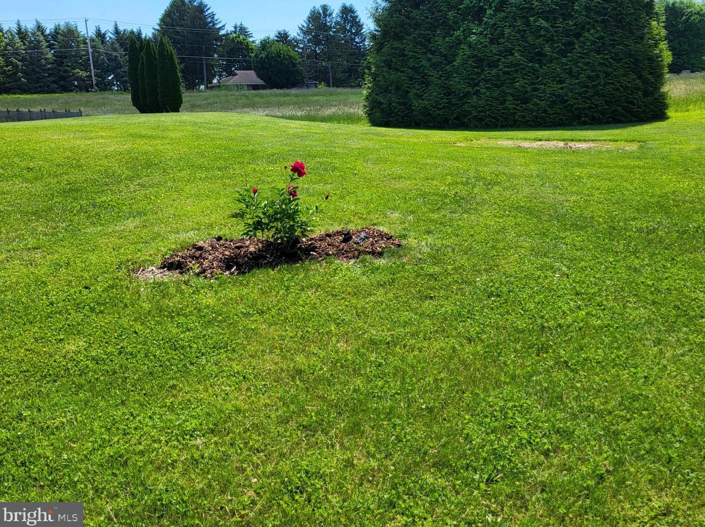 165 Ridgewood Dr, Hanover PA 17331-8473 exterior