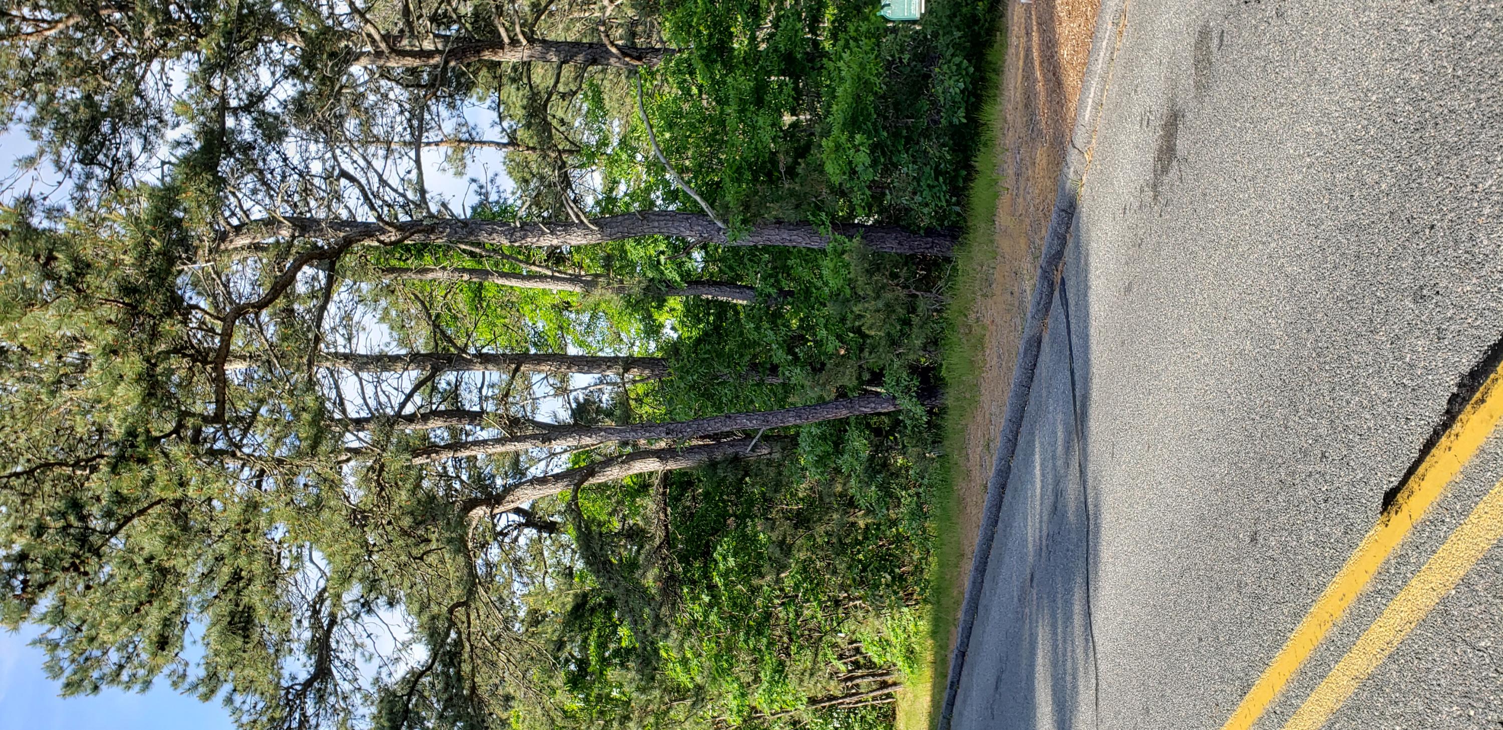 42 Monomoscoy Rd, Mashpee, MA 02649 MLS 22103319 Coldwell Banker