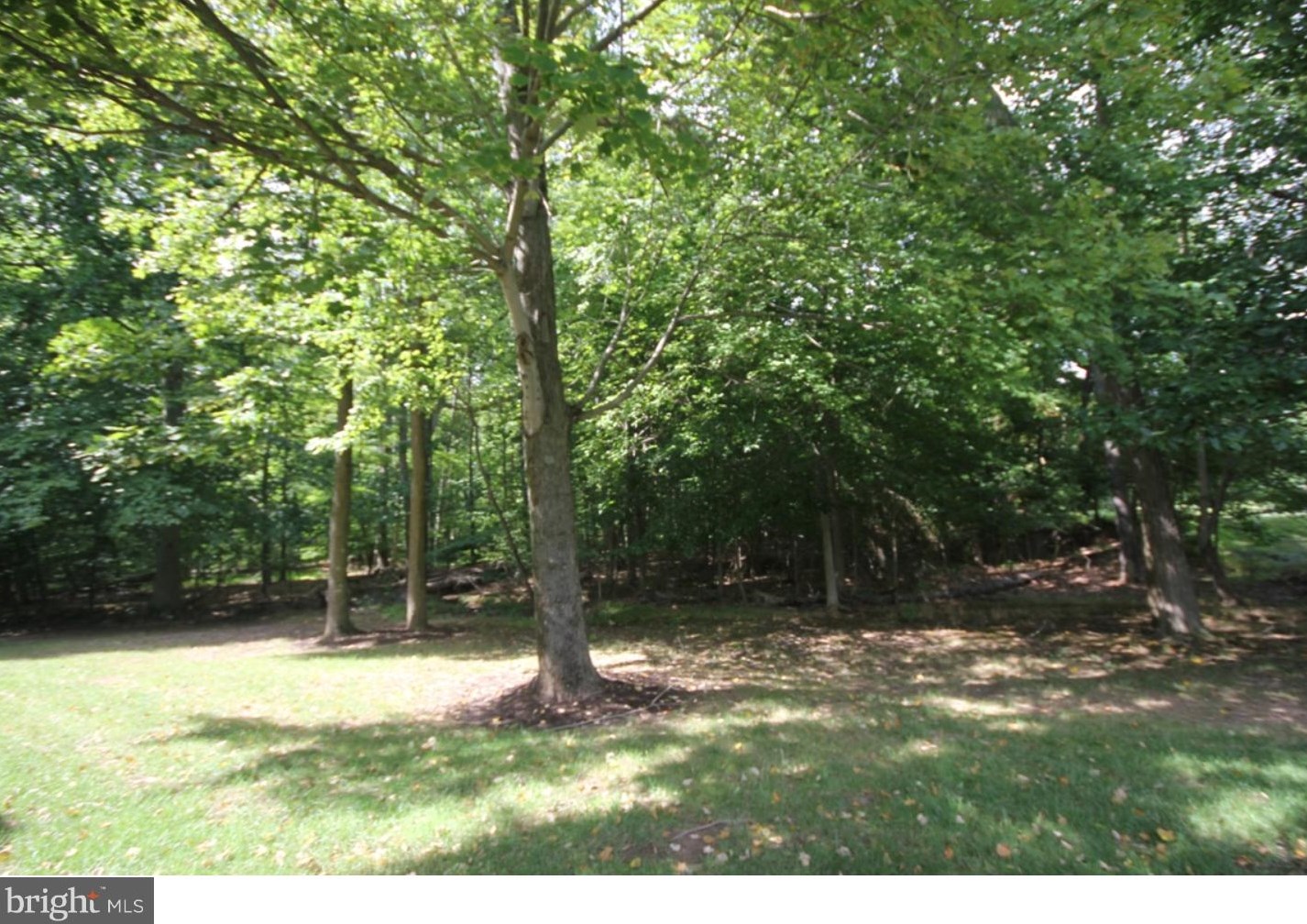 709 Deer Run Ct, Pennington NJ  08534-5233 exterior