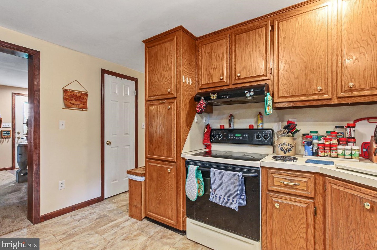 317 Lake Meade Dr, East Berlin PA  17316-9320 exterior