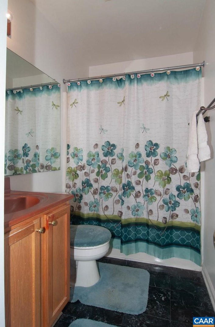 46 Oak Terrace Dr, Ruckersville VA  22968-3439 exterior