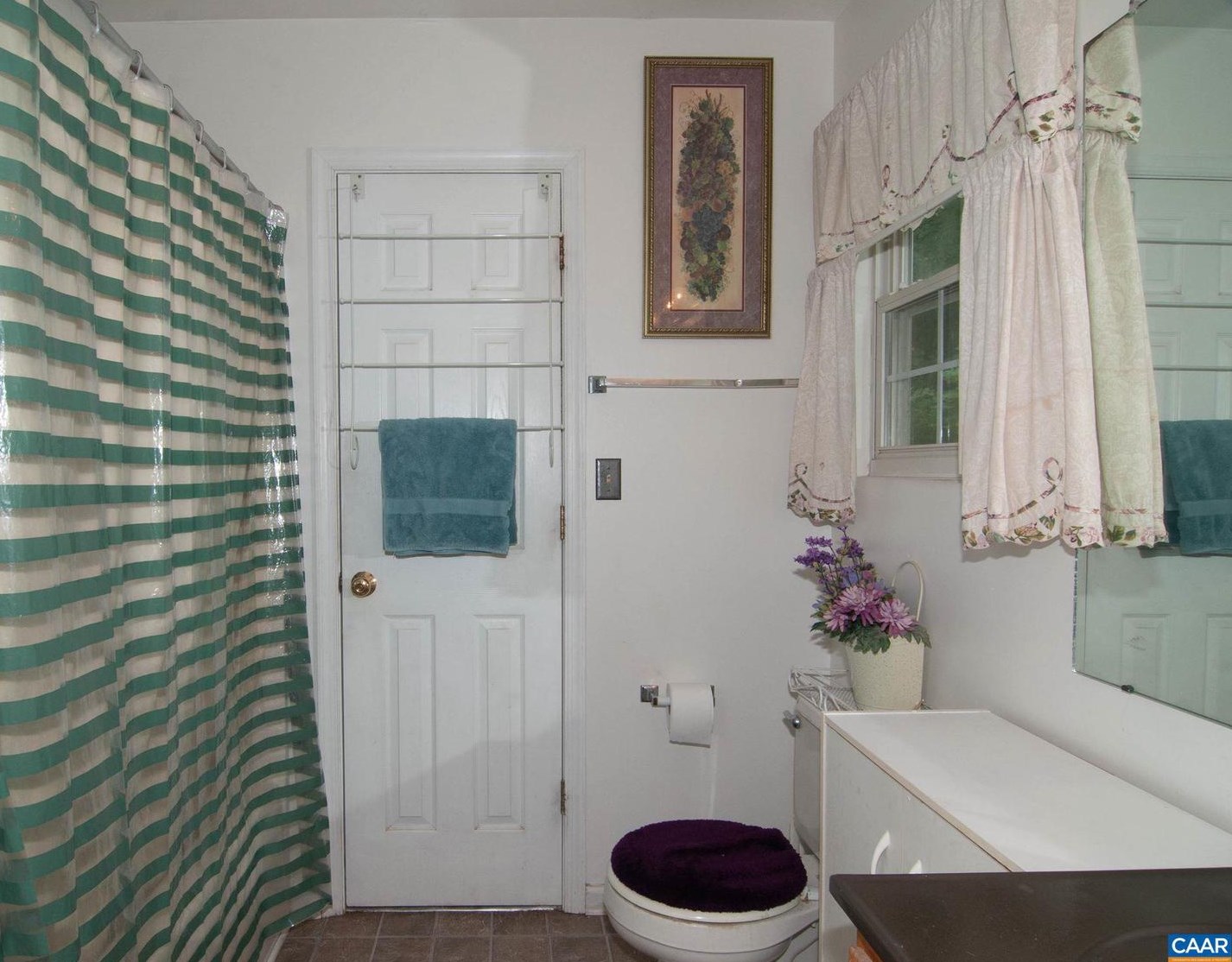 46 Oak Terrace Dr, Ruckersville VA  22968-3439 exterior