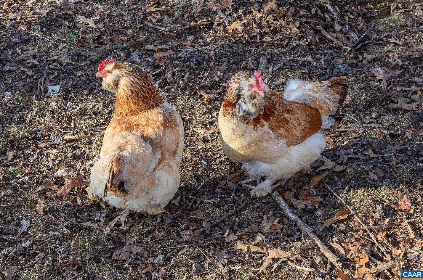 9663 Dyke Rd, Stanardsville VA  22973-3412 exterior