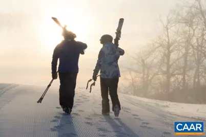 150 Shamokin Springs Trl, Wintergreen Resort, VA 22967 - Photo 7