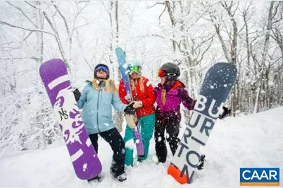 150 Shamokin Springs Trl, Wintergreen Resort, VA 22967 - Photo 11