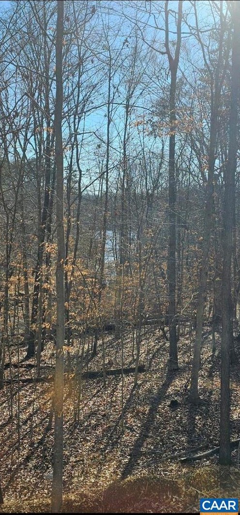 223 Berry Ct, Bybee VA  22963-4952 exterior