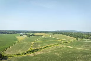 23501 Greenville Rd, Culpeper, VA 22701 - Photo 59