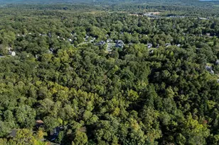 1704 Old Brook Rd, Charlottesville, VA 22901 - Photo 7