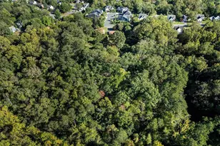 1704 Old Brook Rd, Charlottesville, VA 22901 - Photo 9