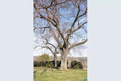 2328 Liberty Corner Rd, Esmont, VA 22937 - Photo 45