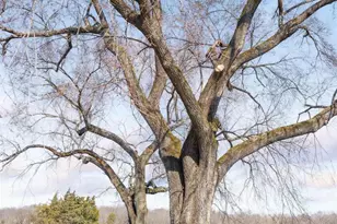 2328 Liberty Corner Rd, Esmont, VA 22937 - Photo 45