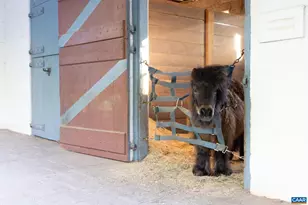 2328 Liberty Corner Rd, Esmont, VA 22937 - Photo 57