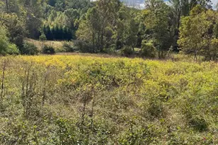 Lot 2B Browns Gap Turnpike, Crozet, VA 22920 - Photo 11