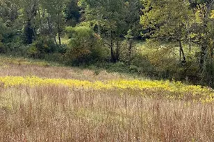 Lot 2B Browns Gap Turnpike, Crozet, VA 22920 - Photo 9