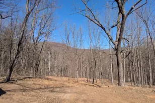 2005 Upper Stony Run, Greenwood, VA 22943 - Photo 29